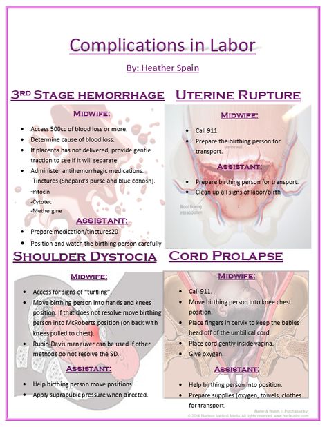 Midwife's Assistant Field Guide. Midwife School, Midwife Notes, Obgyn Aesthetic, Midwife Assistant, Nursing School Inspiration, Certified Nurse Midwife, Nurse Teaching, Medical Assistant Student, Midwifery Student