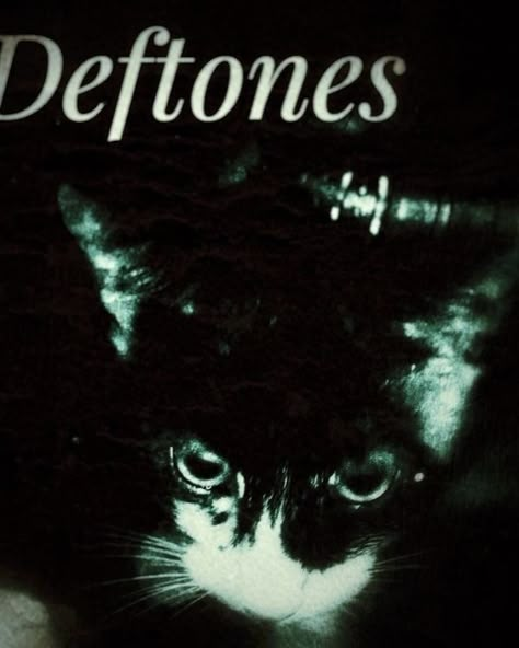 nu metal>>>> Metal Pfp Aesthetic, Pfp Deftones, Nu Metal Pfp, Deftones Pfp, Metal Pfp, Grunge Wallpapers, 2000s Bands, Goofy Cats