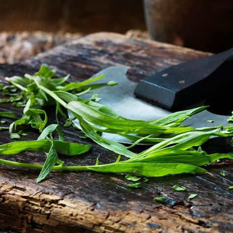 Garden In Kitchen, Bernaise Sauce, Beet Soup Recipes, Tarragon Recipes, Parsley Sage Rosemary And Thyme, Fresh Herb Recipes, Cooking With Fresh Herbs, Harvest Food, Family Meal Ideas