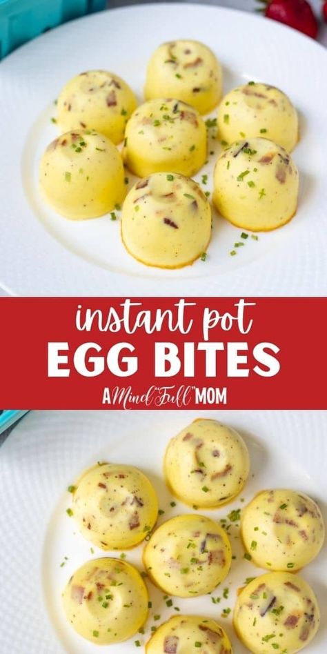 Skip the expensive drive-thru and make your own egg bites EASILY in the Instant Pot and customize them with whatever filling you like. Instant Pot Egg Bites are a copycat version of Starbuck's Soude Vide Egg Bites. They are light, fluffy, creamy, and incredibly easy to make at home! Instant Pot Egg Bites, Starbucks Egg Bites, Egg Bites Recipe, Gluten Free Breakfast, Breakfast Bites, Sous Vide Cooking, Family Eating, Egg Bites, Easy Instant Pot Recipes