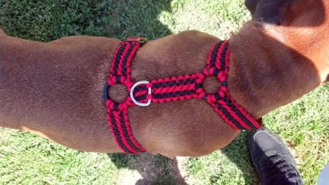 http://paracordplanet.blogspot.com/2014_05_01_archive.html Diy Dog Harness, Dog Harness Pattern, Paracord Braids, Paracord Dog Collars, Paracord Diy, Dog Best Friend, Ideal Toys, Paracord Projects, Dog Projects