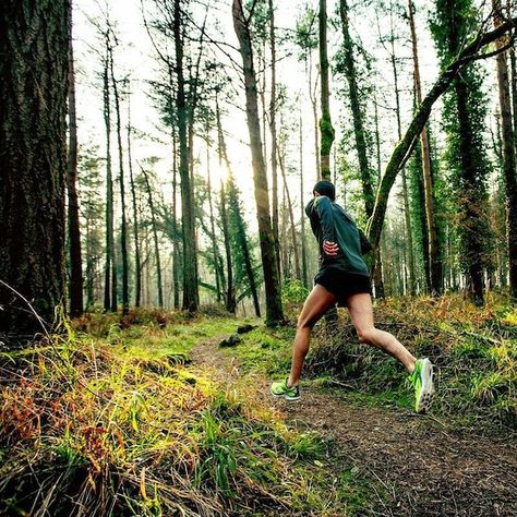 Trail Running Photography, Post Run Stretches, Marathon Training Schedule, Running Photography, Running Photos, Half Marathon Training Plan, Mountain Running, Interval Running, Marathon Training Plan