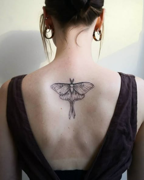 Delicate Moth Tattoo, Moth Spine Tattoo, Moth Tattoo On Back, Moth Tattoo Back, Moth Back Tattoo, Small Moth Tattoo, Tattoos Sunflower, Lunar Moth Tattoo, Luna Moth Tattoo