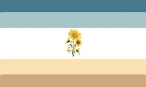 Angled Aroace Flag, Aroace Wallpaper Pc, Aroaceflux Flag, Aroace Pfp Aesthetic, Aroace Laptop Wallpaper, Oriented Aroace Wallpaper, Aesthetic Attraction, Aroace Flag Aesthetic, Aroace Lesbian Flag