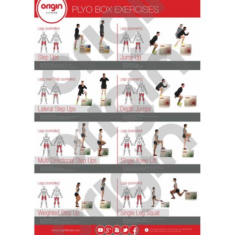 Box Workout, Plyo Workouts, Exercise Poster, Proper Running Technique, Vertical Jump Training, Plyo Box, Running Techniques, Plyometric Workout, Basketball Shooting