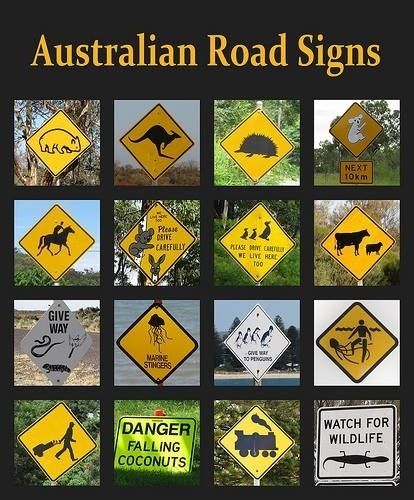 The Best Of The Rest… | 47 Signs You'll Only See In Australia Australian Road Signs, Koala Meme, Koala Funny, Aussie Memes, Australian Memes, Meanwhile In Australia, Funny Koala, Australia Funny, Funny Road Signs