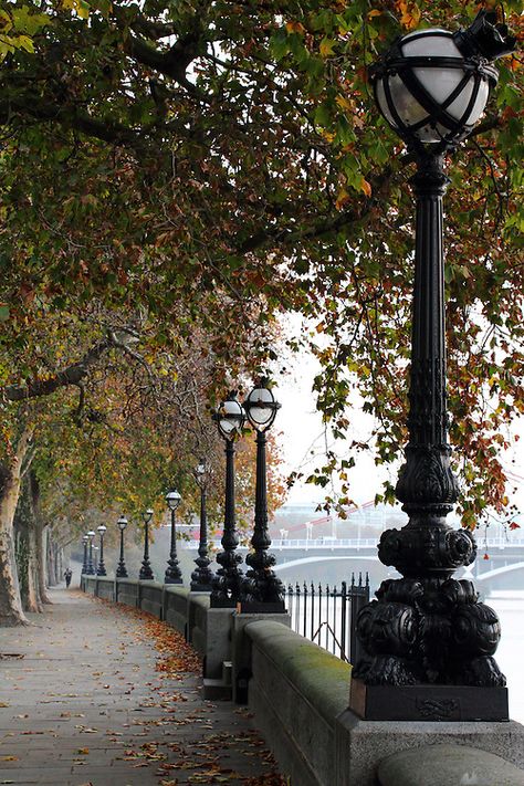 London Morning Aesthetic, Chelsea London Aesthetic, Chelsea Embankment, London Morning, Autumn Tale, Grey Autumn, Perth Scotland, Blurred Background Photography, Chelsea London