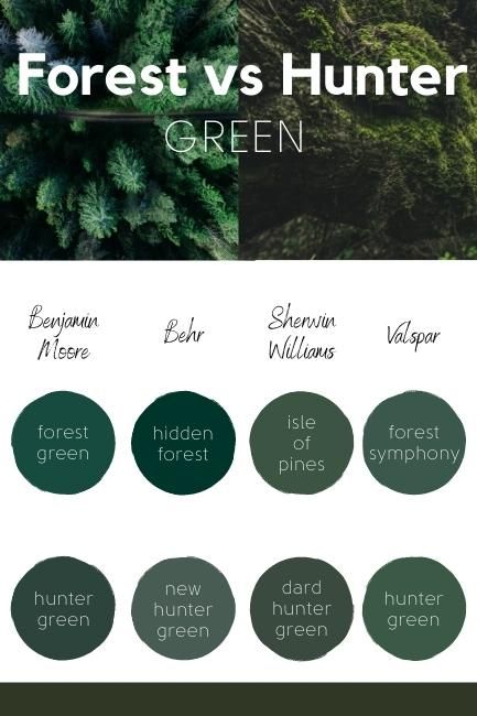 Sherwin Williams Essex Green, Behr Hunter Green Paint, Rainforest Green Paint, 2023 Dark Green Paint Color, Dark Green Paint Pallet, Benjamin Moore Mallard Green, Benjamin Moore Sherwood Forest, Dark Forest Green Paint Colors, Hunter Green Paint Colors Behr