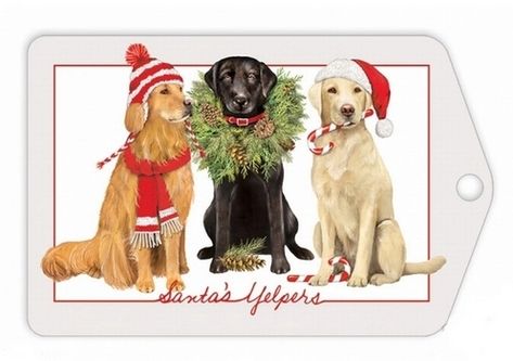 Labrador Christmas Cards, Cute Christmas Pictures, Dog Christmas Cards, Dog Holiday Cards, Diy Travel Accessories, Bike Card, Wood Slice Ornaments, Dog Christmas Card, Christmas Embroidery Patterns