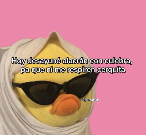 Reactions Pics, Funny Spanish, Funny Spanish Jokes, Spanglish Quotes, Spanish Jokes, Cute Phrases, Cute Spanish Quotes, Funny Spanish Memes, Card Sayings