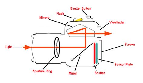 mattcameradiagram1 Camera Diagram, Camera Parts Diagram, Parts Of A Camera, Dslr Lens, Camera Drawing, Digital Photography Lessons, Cool Tech Gadgets Electronics, Photographer Camera, Photography Cheat Sheets