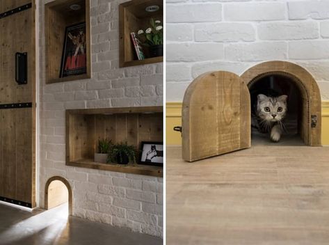 5 DIY Project The Most Extreme Cat Lovers Should Try | Apartment Therapy Cat Apartment, Cat Playground Outdoor, Secret Passages, Secret Passageways, Diy Cat Tree, Cat Playground, Cat Houses, Cat Tunnel, Cat Things