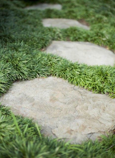 mondo grass surrounding stepping stones Backyard Grass Alternative, Backyard Grass Landscaping, Grass Alternative, Grass Pavers, No Grass Backyard, Garden Stepping Stones, Grasses Landscaping, Garden Steps, Front Landscaping