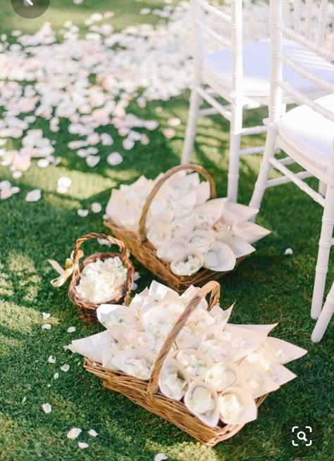 White Petals To Throw Wedding, Flower Petals To Throw At Wedding, Throwing Petals Wedding, Flower Petals For Guests To Throw, Wedding Fan For Bride, Romantic Whimsy Wedding, Petal Throwing Wedding Ideas, Throw Petals Wedding, Flower Petal Throw Wedding