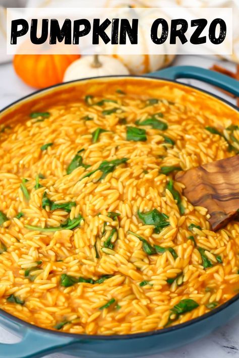 Pumpkin orzo is a quick and easy 1-pot meal perfect for fall! With just a few simple ingredients and less than 20 minutes, you can have a creamy, cozy, vegan meal that the whole family will love. It's easy to make gluten free too! thehiddenveggies.com Squash Orzo Recipes, Orzo Sweet Potato Recipes, Pumpkin Orzo Recipes, Creamy Vegan Orzo, Healthy Vegan Fall Dinner, Fall Rice Recipes, Orzo Pumpkin, Vegetarian Orzo Recipes, Vegan Orzo Recipes