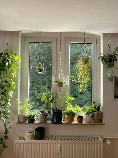 House Plants Apartment, Small Window Plant Ideas, Plants By A Window, Plants Window Aesthetic, Plant Based Decor, Window Full Of Plants, Plants On Window Sill Bedroom, Plants In Home Aesthetic, Bedroom Plants Decor Ideas Small Spaces