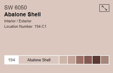 Sw Abalone Shell Paint, Sherwin Williams Abalone Shell, Abalone Shell Sherwin Williams, Boho Toddler Girl Room, Pallette Ideas, Boho Toddler Girl, Boho Paint Colors, Tiny Castle, Girls Room Colors