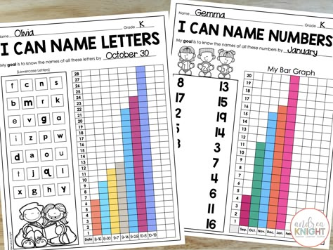 Prek Data Tracking, First Grade Data Binders, Kindergarten Data Tracking, How To Organize Student Data, Student Data Binders Kindergarten, Student Data Organization, Kindergarten Management, Student Data Folders, Student Data Notebooks