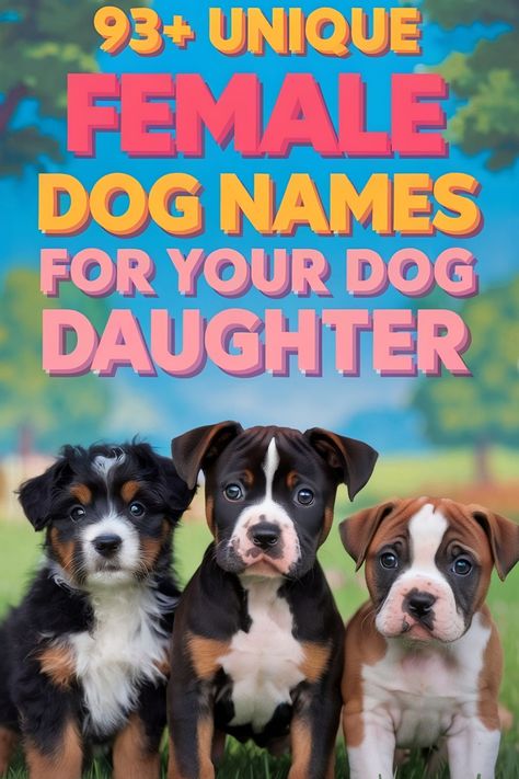 Three dogs with a background of nature. A title about female dog names for your dog daughter. Girl Puppy Names Unique, Clever Dog Names, Best Girl Dog Names, Best Female Dog Names, Rare Dog Names, Puppy Names Unique, Girl Pet Names, Dog Names Girl, Girl Dog Names Unique