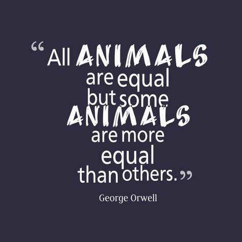 "All animals are equal but some animals are more equal than others." Animal Farm Quotes, Animal Farm Book, Infinity Quotes, Animal Farm George Orwell, All Animals Are Equal, George Orwell Quotes, Animals Quotes, All Animals, Country Quotes