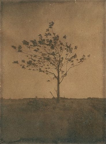 Pinhole Photography, Alternative Photography, Pinhole Camera, Robert Frost, Old Postcards, Ethereal Art, Dark Photography, Brown Aesthetic, Photography Techniques