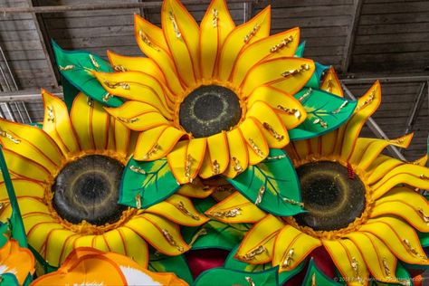 Sunflower Flowers at Mardi Gras World, New Orleans © 2018 Patty Hankins Mardi Gras Float, Mardi Gras Festival, Studio Storage, Mardi Gras Parade, Edit My Photo, Year One, Fat Tuesday, Iris Flowers, Beautiful Flowers Pictures