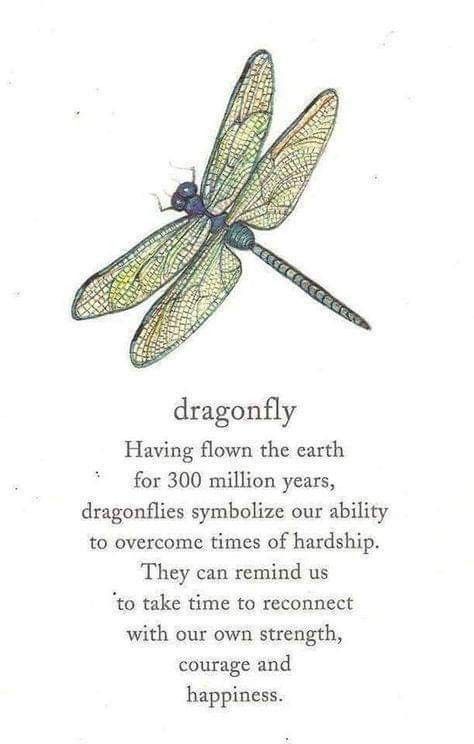 Dragonfly Meaning, Dragonfly Symbolism, Dragonfly Quotes, Dragonfly Artwork, Animal Spirit Guides, Small Meaningful Tattoos, Dragon Flies, Dragonfly Tattoo, Animal Spirit