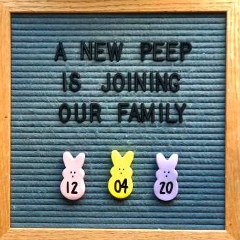 Pregnancy Announcement Letter Board, Easter Pregnancy Reveal, Easter Baby Announcement, Easter Gender Reveal, Baby 2 Announcement, Easter Pregnancy Announcement, Baby Easter Basket, Fun Baby Announcement, Felt Letter Board