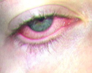 Green Eye Aesthetic, Eye Aesthetic, Art Appliqué, Eye Photography, Aesthetic Eyes, Grunge Aesthetic, An Eye, Dark Aesthetic, Dark Art