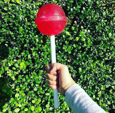 Biggest lollipop #food #meal #foods #healthyfood #keto Big Lollipop, Pinkie Pie Cosplay, Big Lollipops, Candy Kabobs, Lollipop Candy, Food Matters, Cute Tumblr Pictures, Food Website, Instagram Tags