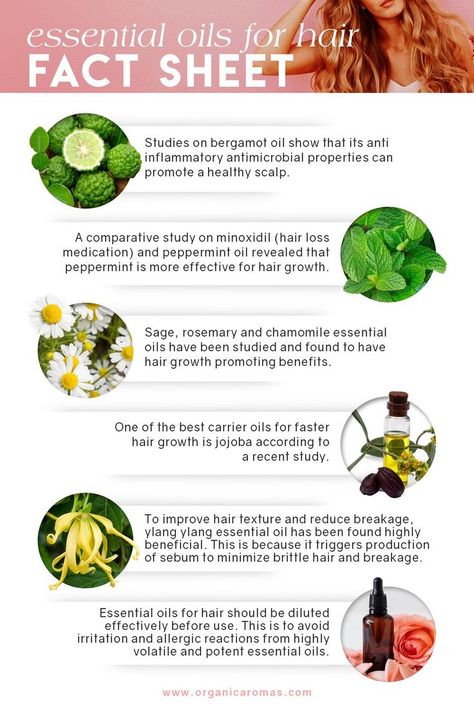 Know the facts about how Essential Oils can help you manage your hair problems Shelf Talkers, Natural Hair Growth Remedies, Hair Facts, Hair Growth Women, Herbs For Hair, Hair Dryness, Oils For Hair, Brown Spots On Face, Hair Remedies For Growth