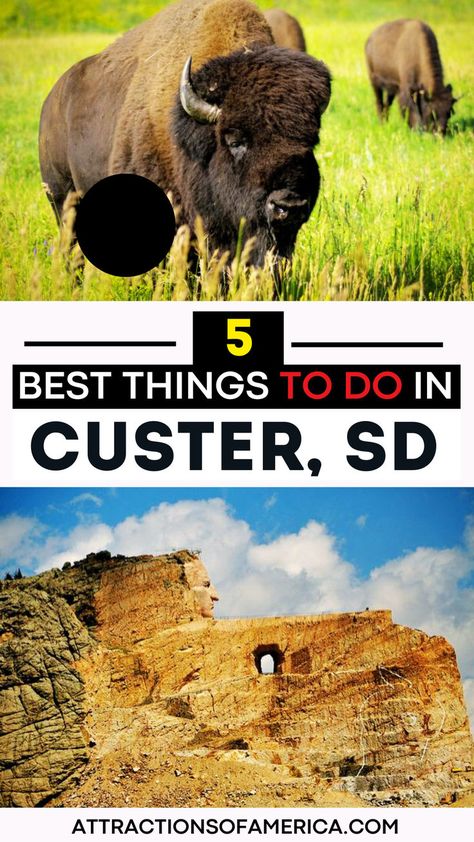 Image of Custer State Park and Crazy Horse Memorial with text reading 5 best things to do in Custer, SD. Jewel Cave National Monument, Custer State Park South Dakota, Custer South Dakota, South Dakota Vacation, Crazy Horse Memorial, South Dakota Travel, Horse Memorial, Sylvan Lake, Family Summer Vacation