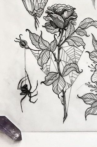 Cute Gothic Tattoo Ideas, Burnt Out Tattoo, Spiderweb Rose Tattoo, Spiderweb Floral Tattoo, Dark Ethereal Tattoo, Dark Botanical Art, Creepy Feminine Tattoos, Spider Ink Drawing, Spooky Flowers Tattoo