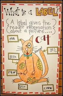 Label lesson...her Kindergarten site has some cute ideas and freebies. Kindergarten Anchor Charts, Classroom Anchor Charts, Writing Anchor Charts, 1st Grade Writing, First Grade Writing, Reading Anchor Charts, Informational Writing, Teaching Literacy, Kindergarten Writing