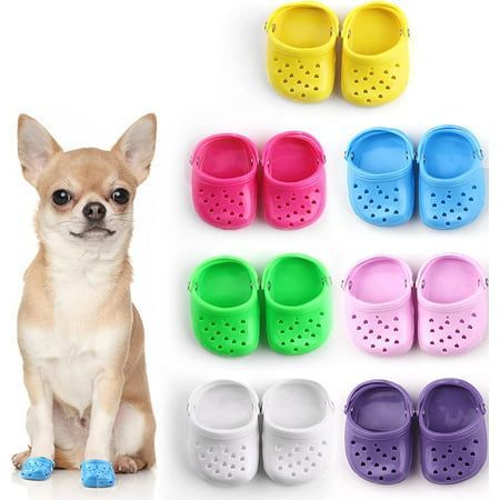 Rubber Dog Crocs Cute Small Dog Accessories, Cute Dog Outfits, Dog Lifestyle, Puppy Shoes, Pet Things, Yoda Wallpaper, Dog Outfits, Dogs Stuff, Small Dog Clothes