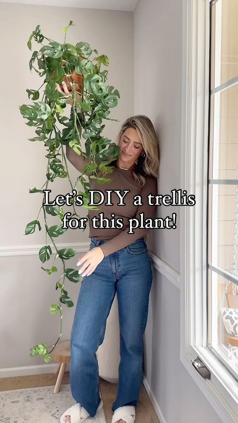 Samantha Hermann | The easiest DIY trellis ever! Details ⬇️ These wooden hoops of various sizes come in a pack and include the little zip ties. Comment... | Instagram Swiss Cheese Plant Trellis, Cheap Trellis Ideas, Diy Wood Trellis, Diy Plant Trellis Indoor, Plant Trellis Ideas, Diy Plant Trellis, Mini Trellis, Diy Trellis Ideas, Pothos Plant Care