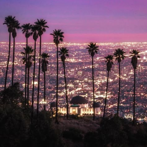 Los Angeles At Night, Tumblr Girly Aesthetic, Los Angeles Wallpaper, Los Angeles Aesthetic, Summer Tumblr, 2014 Vibes, 2014 Tumblr, Griffith Park, Pretty Views