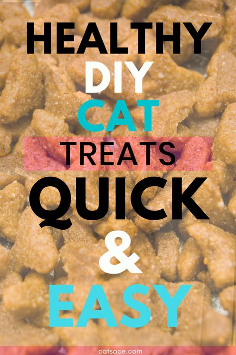 Chicken Cat Treats, Cat Treat Recipes Homemade, Cat Treats Homemade Easy, Homemade Cat Treats Easy, Diy Cat Treats Recipes, Homemade Cat Treats Recipes, Diy Cat Treats, Tuna Cat Treats, Homemade Cat Treats