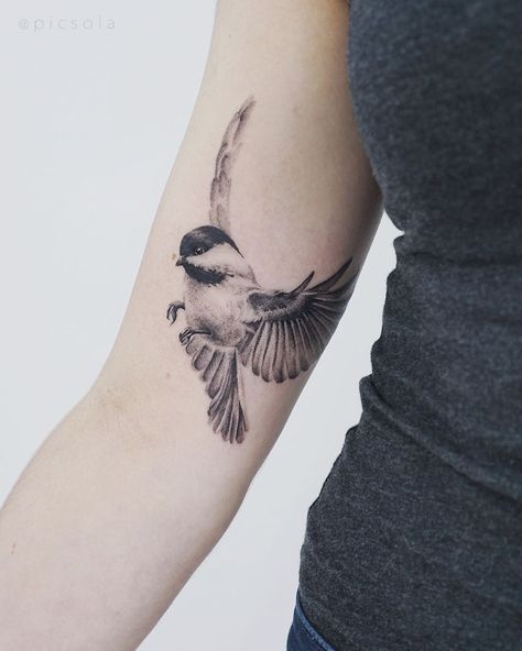 Ola | tattoo artist on Instagram: “A little chickadee for Jessica, thank you for the trust! #chickadeetattoo #chickadee #dotworktattoo” Chickadee Tattoo, Forearm Cover Up Tattoos, Vogel Tattoo, Sparrow Tattoo, Muster Tattoos, Tasteful Tattoos, Tattoo Care, Bird Tattoo, Dot Work Tattoo