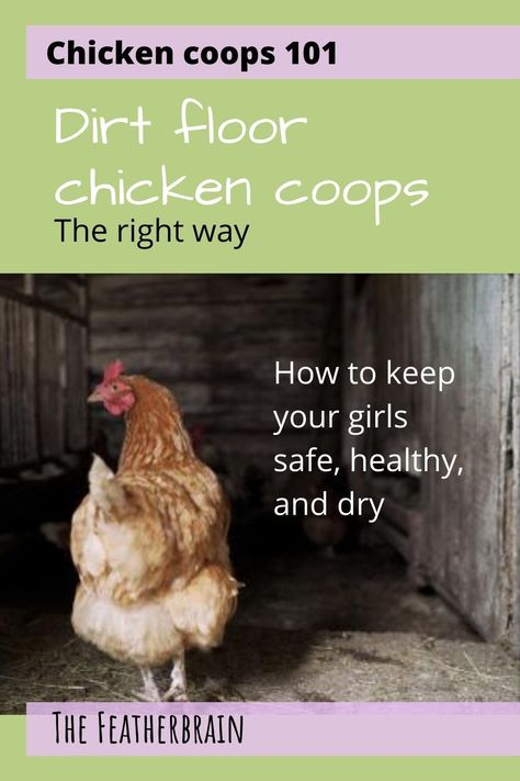 Chicken Flooring Ideas, Chicken Coop Safety, Dirt Floor Chicken Coop, Coop Floor Ideas, Chicken Coop Floor Ideas, Chicken Coop Flooring Ideas, Chicken Coop Sand, Chicken Coop Floor, Homestead Projects