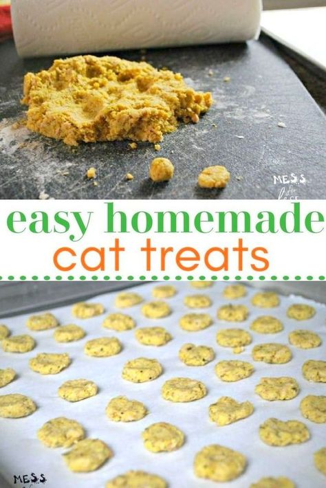 Homemade Cat Treats, Homemade Cat Treats Recipes, Diy Cat Treats, Tuna Cat Treats, Pet Treats Recipes, Homemade Cat Food, Cat Snacks, Homemade Cat, Cat Treat Recipes