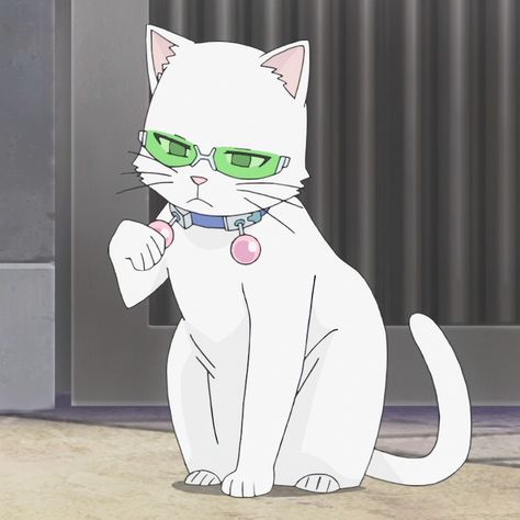 Cat Saiki, Kuriko Saiki, Miyuki Shirogane, Kaguya Shinomiya, Saiki K, Comedy Anime, Saiki Kusuo, Kaguya Sama, Warrior Cats Art