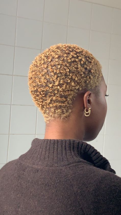 Shaved Head Natural Hair, Bald Natural Hair Styles Black Women, Women Low Haircut, 4c Shaved Hair, Twa Hair Color Ideas Dark Skin, Short Afro Dyed Hair, Bleached Hair Women, Bleached Short Hair Black Women, Short Hair Dye Colors For Black Women