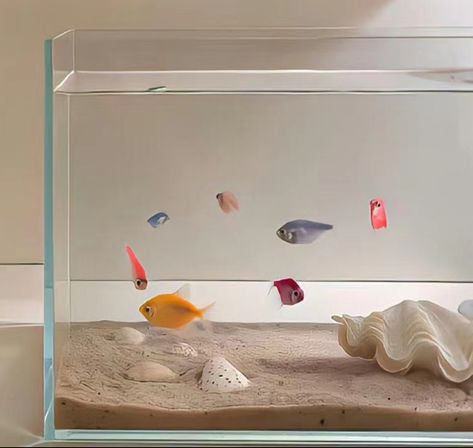 Aesthetic Aquarium, Fish Aquarium Decorations, Fish Tank Themes, Fish Tank Terrarium, Pretty Fish, Creative Gifts For Boyfriend, Aquarium Design, Aquarium Decorations, Room With Plants