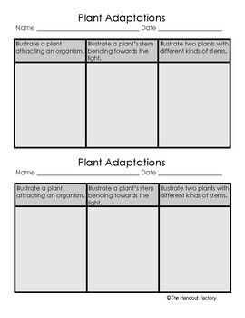 This activity is a quick way for students to demonstrate what they have learned about plant adaptations. In this Plant Adaptations chart, students will illustrate the following:1. Illustrate a plant attracting an organism. Ex: A pink flower with a bee gathering pollen.2. Illustrate a plant's stem be... Plant Adaptations Activities, Adaptations Activities, Plant Adaptations, Fourth Grade Science, Middle School 6th Grade, 7th Grade Ela, Prek Math, 8th Grade Ela, 2nd Grade Ela