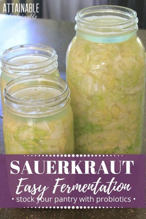 This homemade sauerkraut recipe is so easy to put together. It's a great way to delve into fermentation as a method of food preservation. #fermenting #foodpreservation #homestead Homemade Sourkraut, Fermented Vegetables Recipes, Make Sauerkraut, Making Sauerkraut, Fermented Sauerkraut, Sauerkraut Recipe, Fermented Veggies, Homemade Sauerkraut, Sauerkraut Recipes