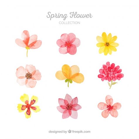 Collection of spring flowers. Download thousands of free vectors on Freepik, the finder with more than a million free graphic resources Flowers Design, Watercolor Flowers, Spring Flowers, Flowers, Floral, Design, Watercolour Flowers