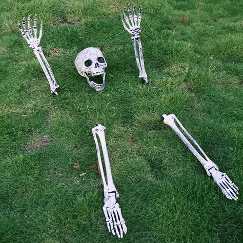 Chnaivy Halloween Decorations Outdoor Realistic Skull Skeletons Stakes Decor 5 PC Halloween Skeleton Groundbreakes for Lawn Stakes Garden Cemetery Coffin Scary Halloween Party Decorations Halloween Decorations Party Scary, Headstones Decorations, Bone Decorations, Life Size Skeleton, Terrifying Halloween, Halloween Lawn, Halloween Skeleton Hand, Halloween Decorations Outdoor, Halloween Skeleton Decorations