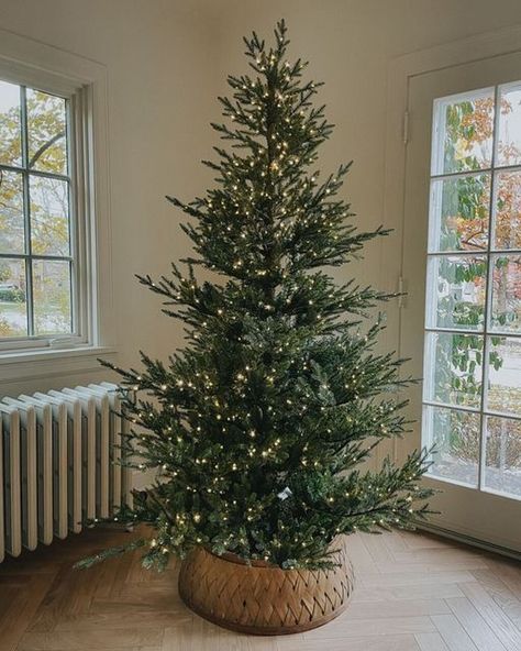 [PaidLink] 86 Incredible Minimalist Christmas Tree Ideas Guides You'll Be Amazed By Today #minimalistchristmastreeideas Christmas Tree Ideas Without Ornaments, Small Minimalist Christmas Tree, Simple Natural Christmas Tree Decor, Christmas Tree Only Lights, Christmas Tree Just Lights, Christmas Tree With No Ornaments, Christmas Tree Simple Decorations, Christmas Tree Decor Ideas Simple, Christmas Tree With Lights Only