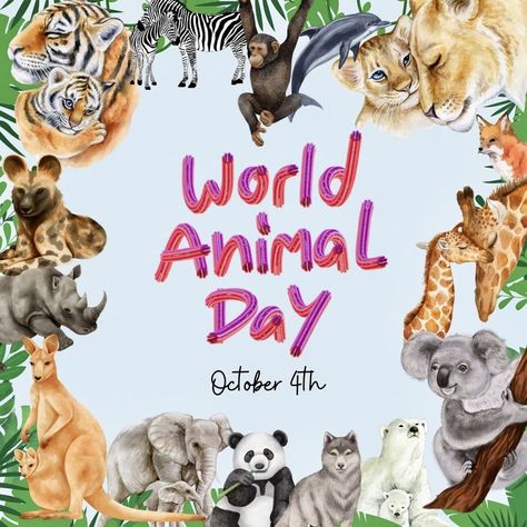 Animal Calendar, Cottagecore Books, World Animal Day, Animal Day, 4 October, October 4th, World Days, Holiday Calendar, Pet Day